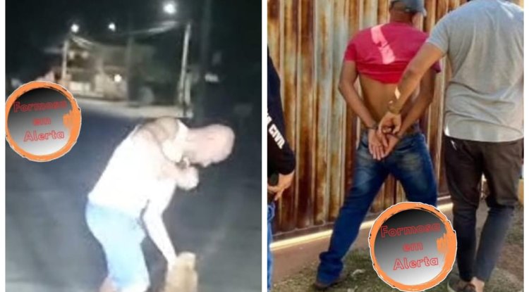 Homem é preso após espancar cachorro em Formosa-Go.