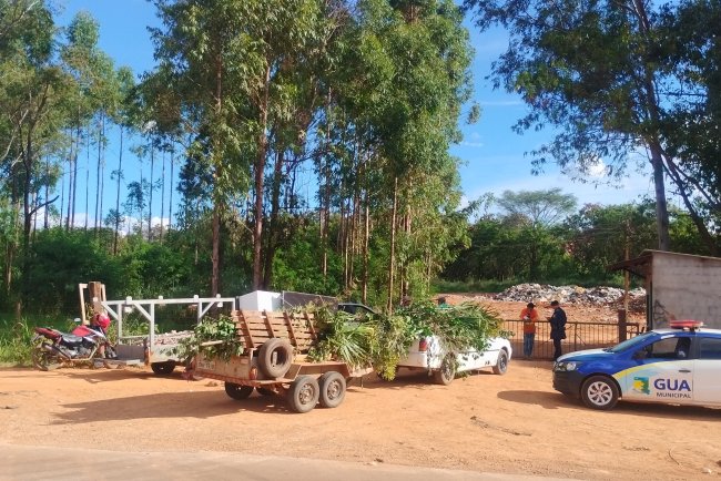 População na bronca com a atual administração de Formosa-Go., devido a falta de informação sobre mudanças para descartes de lixos no  aterro sanitário.