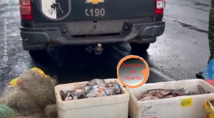 Polícia Ambiental prende idoso pela prática de pesca predatória no Lago do Paranã em Formosa-Go.