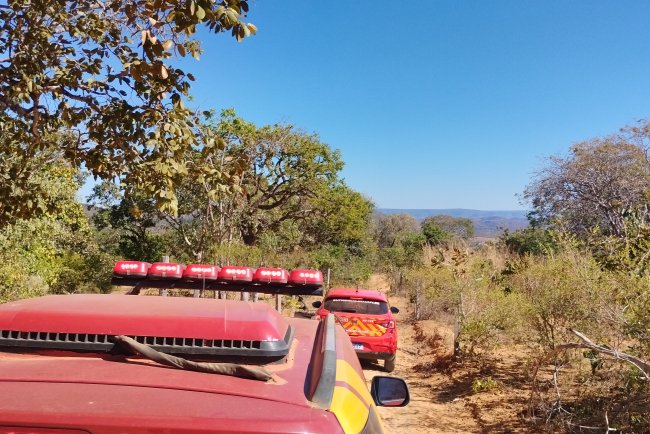 Idoso que estava desaparecido é localizado sem vida em área de mata na zona Rural de Formosa-Go.