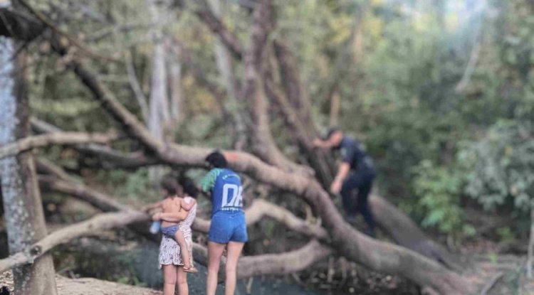 Bebê cai dentro de córrego na Mata da Bica em Formosa-Go ,e duas crianças pulam para salva-la .