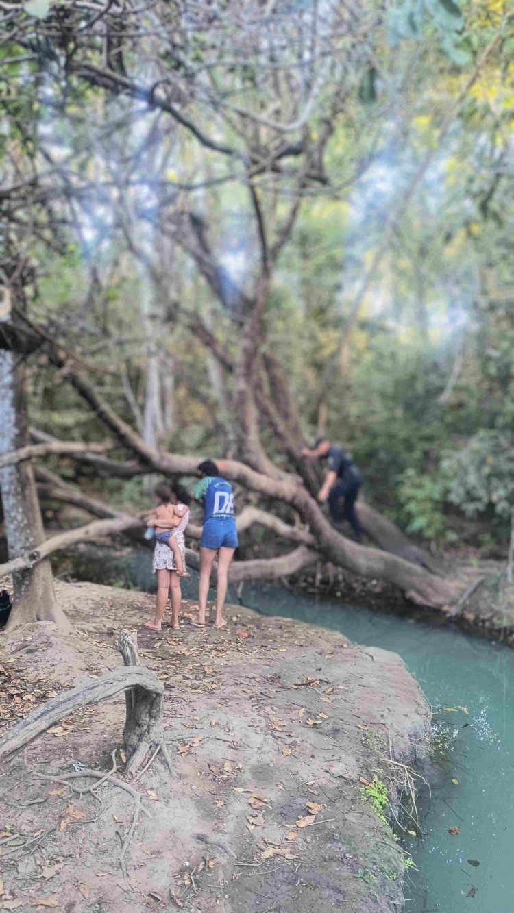 Bebê cai dentro de córrego na Mata da Bica em Formosa-Go ,e duas crianças pulam para salva-la .