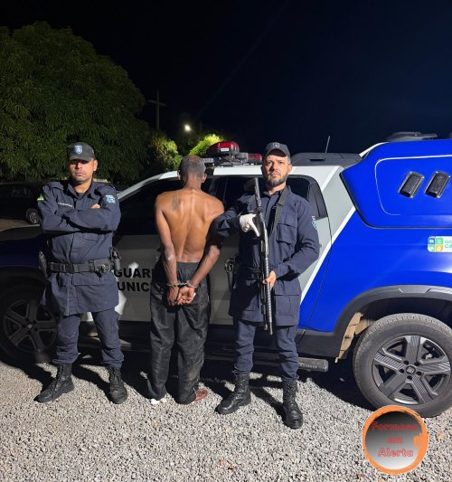 Atendimento à ocorrência- LEI MARIA DA PENHA