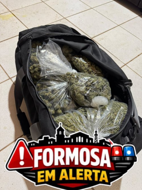 POLÍCIA CIVIL APREENDE GRANDE QUANTIDADE DE MACONHA E CUMPRE MANDADO DE PRISÃO EM ALTO PARAÍSO DE GOIÁS